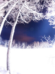 白銀の世界　冬の青い池
