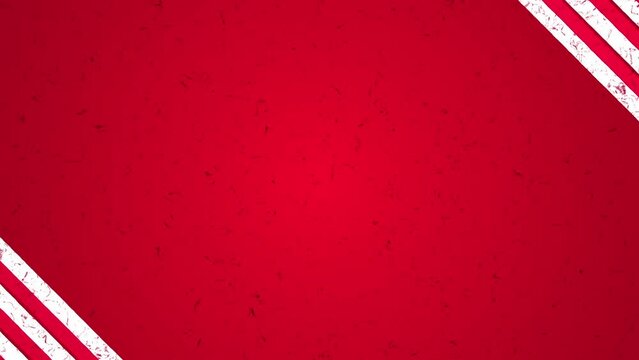 大正モダン 縞 ストライプ BG15 RED