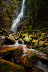 waterfall in the forest