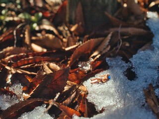 冬の雪山でバカンスを楽しむ人