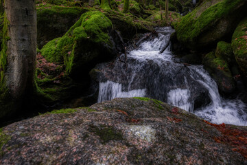 waterfall in the forest