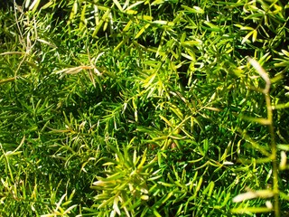 熱海の古びた街並みの風景