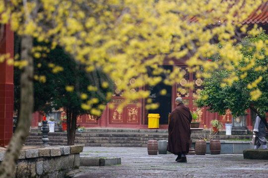 Jiujiang, China - February 3, 2022: Xilin Temple, a thousand-year-old ancient temple on Mount Lushan, is a World Heritage site. Su Shi's famous "title xilin Wall", passed for the ages of good poetry.