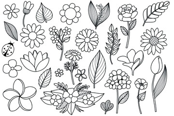 Vector set of contour flowers, plants. Over 25 items. Outline, strokes, black and white
