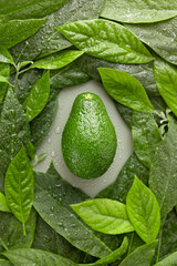 ripe avocado surrounded by leaves, top view, flat lay, concept of proper nutrition