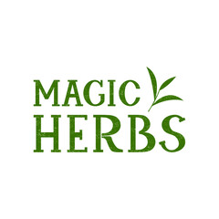 Magic Herbs. Hand lettering. An inscription in an ecological style, a label for cosmetics, a floral ornament. For a restaurant, bar, for creating an eco stencil