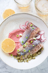 Plate of herring served with beetroot mousse, radish, gherkins and beer, vertical shot, above view, middle close-up