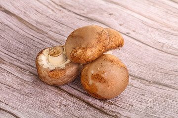 Raw brown champignons mushroom heap