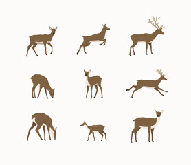 set of deer illustrations