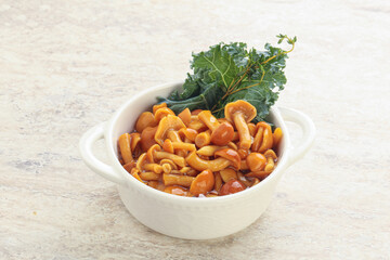 Wild pickled honey mushroom in the bowl