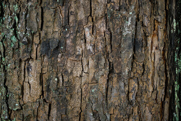 texture