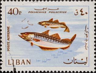 Lebanon - circa 1968: a postage stamp from Lebanon, showing two fish: European Pollock (Pollachius...