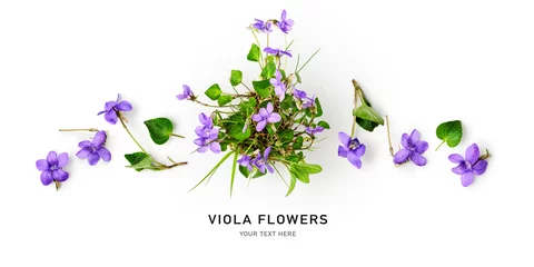 Wandaufkleber Spring viola pansy flowers composition. © ifiStudio