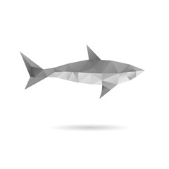 Abstract shark isolated on a white backgrounds