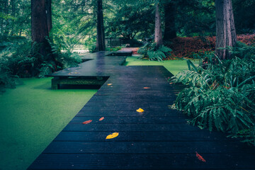 Botanischer Graten Bochum wasserlilie rose © Sandro