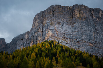 Herbstfarben in den Dolomiten Campanile di val montanaia Berge