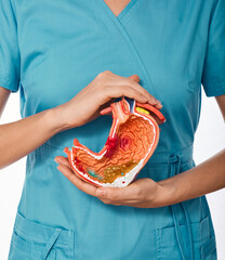 Diagnosis and treatment of stomach disease. Doctor holding anatomical model of stomach with...