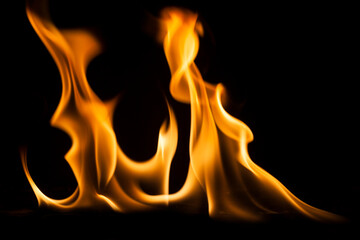Fire flames on black background. - 486858535