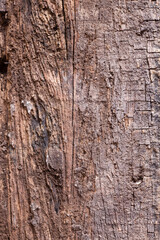 old wood background.