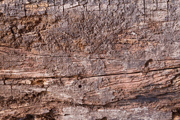 old wood background.