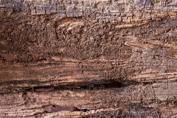 old wood background.