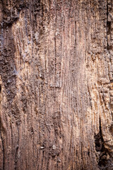 old wood background.