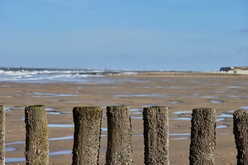 Foto op Aluminium Wooden posts in the North Sea during the winter season in Cadzand © Sebastian Studio
