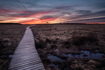 Hohes Venn hautes Fagnes nebel sonnenaufgang schnee winter