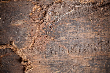Texture old wood background.