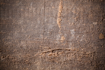 Texture old wood background.