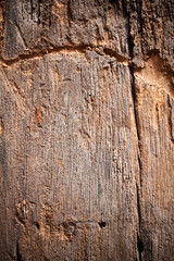 Obraz premium Texture old wood background.