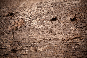 Texture old wood background.