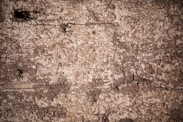 Texture old wood background.