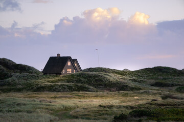 Dänemark Henne Strand Hütte hygge Haus  Dünengras 