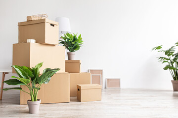 Empty room interior with boxes with belongings and plants in pots on floor on white wall background