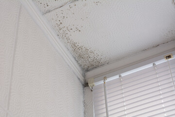 Poor quality windows. Due to poor ventilation, poor-quality installation of plastic windows caused the appearance of black fungus on the walls and ceiling. Mold is a health hazard.