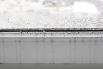Poor quality windows. Due to poor ventilation, poor-quality installation of plastic windows caused the appearance of black fungus on the windows and window sills. Mold is a health hazard.