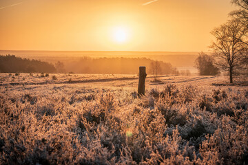 L&uuml;neburger Heide