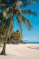 Beautiful tropical beach on the exotic island at Bantayan Island