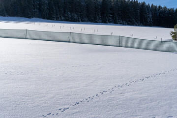 Im Schwarzwald beim Schluchsee