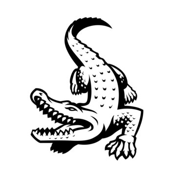 Vector logo crocodile. Brand logo in the shape of a crocodile