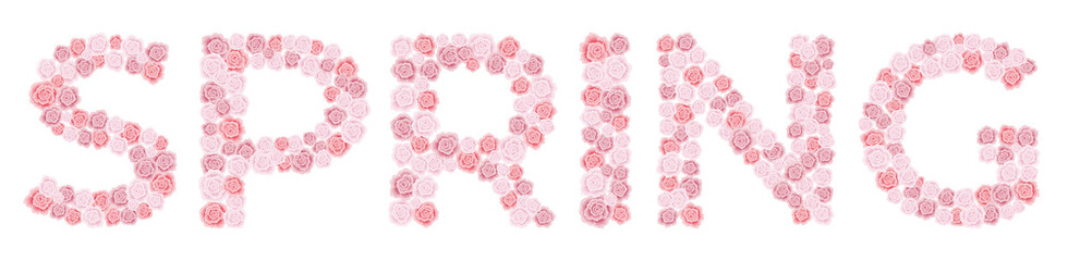 Word Spring – red and pink rose font in two line on white background