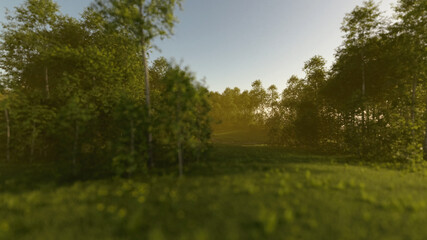 Obraz na płótnie Canvas Birches and grass on river banks on a misty morning. 3D render.