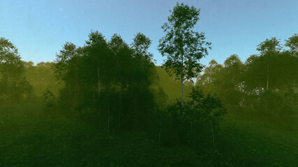 Misty forest with birches and grass under a blue sky early in the morning. 3D render.