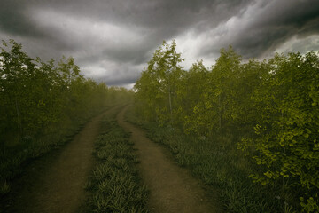 Dirt road with tire tracks in a misty forest with birches under a cloudy sky. 3D render.