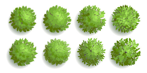 Trees top view. Different plants and trees vector set for architectural or landscape design. (View from above) Nature green spaces.
