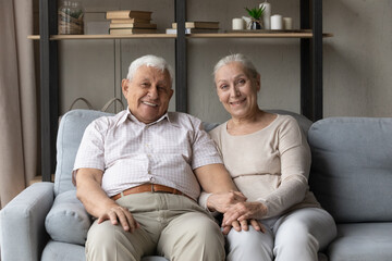 Happy old grey haired family couple resting on couch head shot portrait. Senior husband and wife sitting on sofa together, holding hands, smiling, laughing at camera, webcam, holding video call