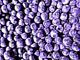 Abstract background of  blueberries.