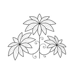 Abstract Hand Drawn Flower Plant Leaf Leaves Botanic Floral Nature Bloom Doodle Concept Vector Design Outline Style On White Background Isolated