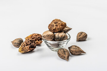 Ripe Juglans cordiformis Maxim or heart-shaped walnut isolated on white background